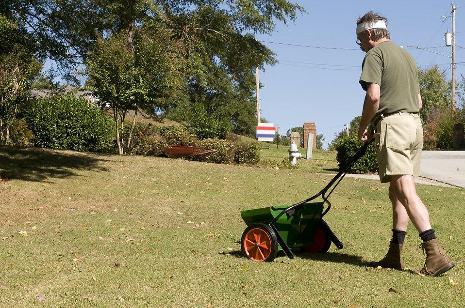 fertilizing South Carolina lawn
